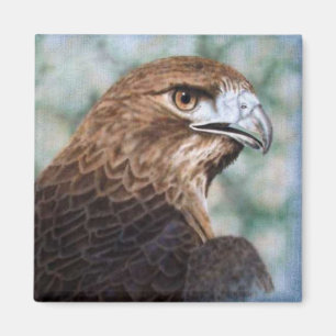 Red-svan Hawk airbrush Magnet