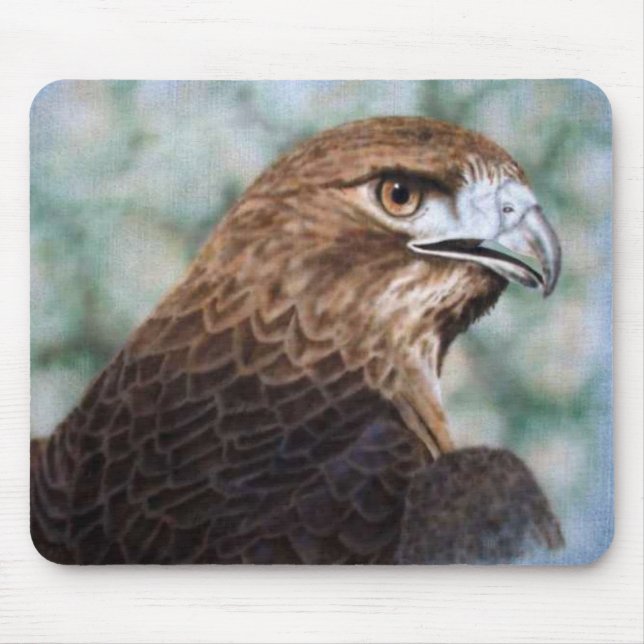 Red-svan Hawk airbrush Musmatta (Framsidan)