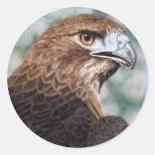 Red-svan Hawk airbrush Runt Klistermärke