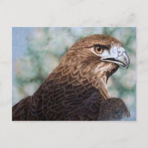 Red-svan Hawk airbrush Vykort