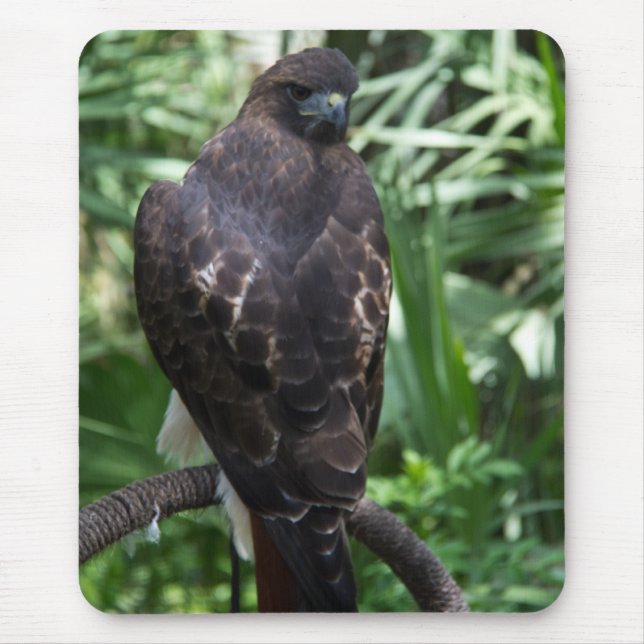 Red Svan Hawk Bird Mousepad Musmatta (Framsidan)