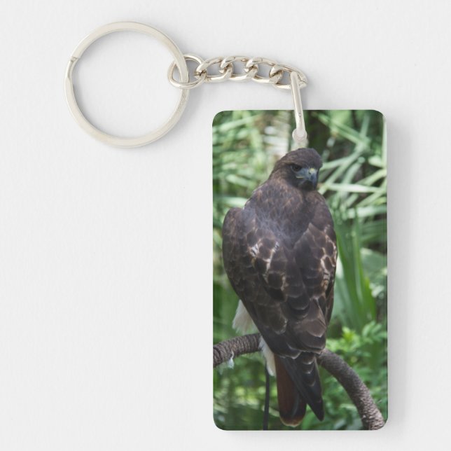 Red Svan Hawk Bird Nyckelring (Framsidan)