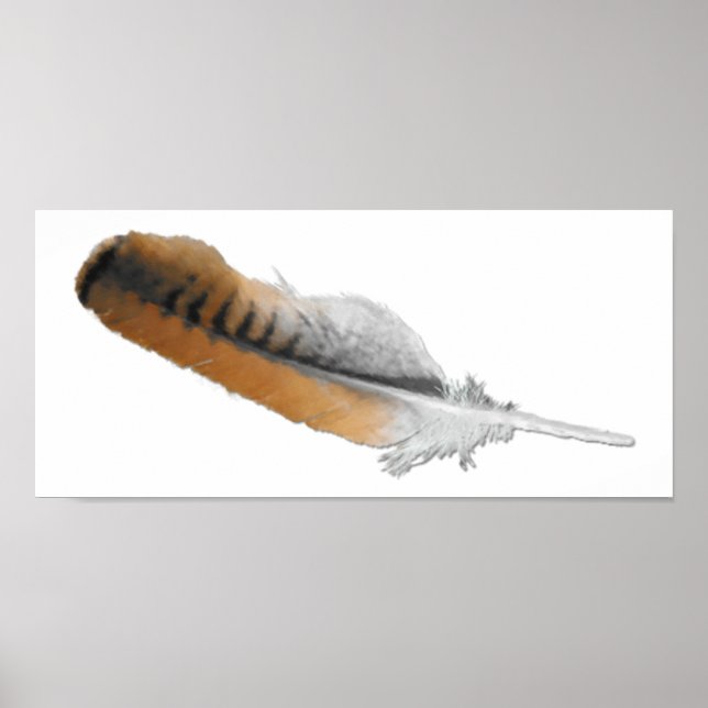 Red-svan Hawk-ludd Poster (Framsidan)