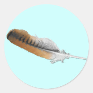 Red-svan Hawk-ludd Runt Klistermärke