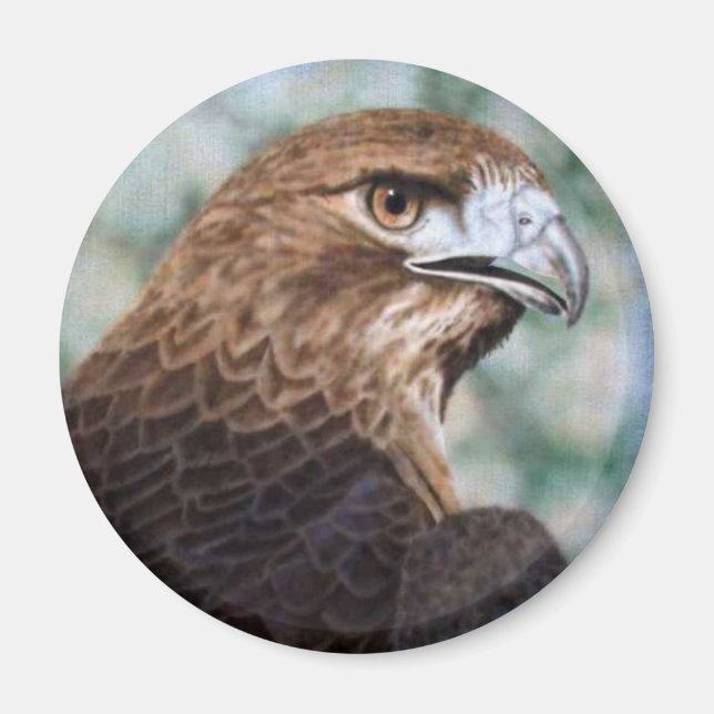 Red-svan Hawk Magnet (Framsidan)