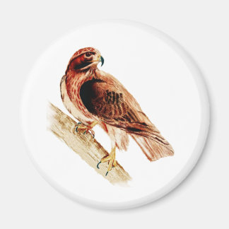 Red Svan Hawk Magnet