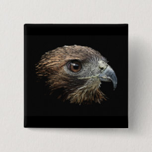 Red-svan Hawk pastel Knapp