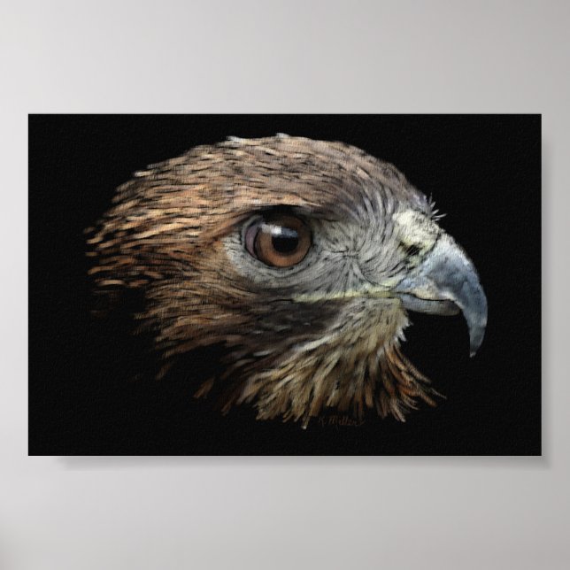 Red-svan Hawk pastel Poster (Framsidan)