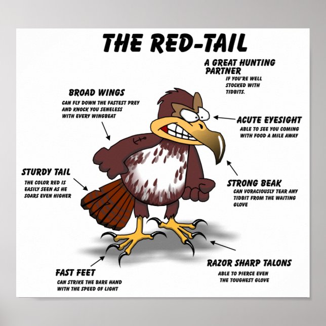 Red-svan Hawk Tecknad Poster (Framsidan)