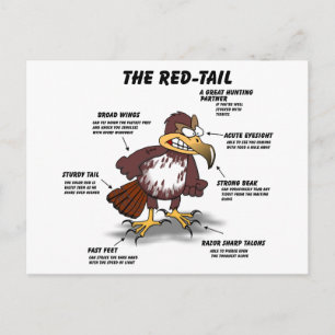 Red-svan Hawk Tecknad Vykort