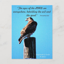 Red Svan Hawk - vykort - Proverbs 15:3