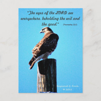 Red Svan Hawk - vykort - Proverbs 15:3