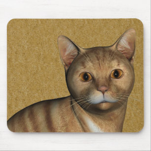 Red Tabby katt Musmatta
