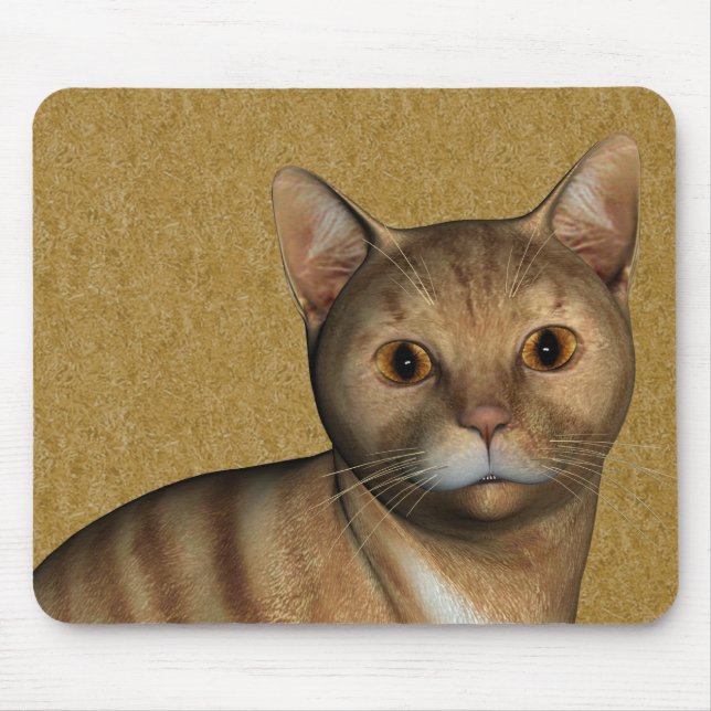 Red Tabby katt Musmatta (Framsidan)