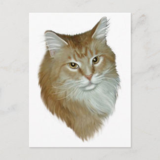 Red Tabby Maine Coon Vykort
