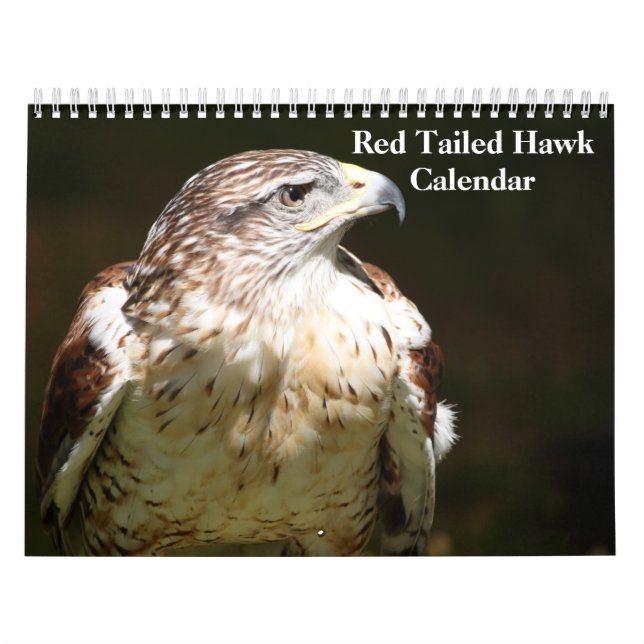 Red Tailed Hawk 2023 Calendar Kalender (Omslag)