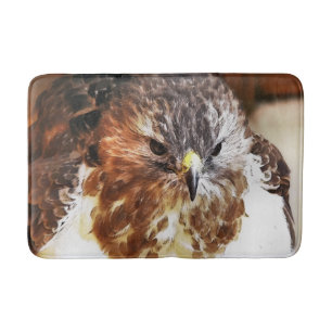 RED TAILED HAWK BADRUMSMATTA