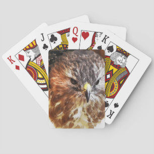 RED TAILED HAWK CASINOKORT