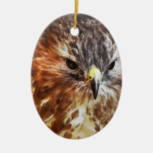RED TAILED HAWK JULGRANSPRYDNAD KERAMIK