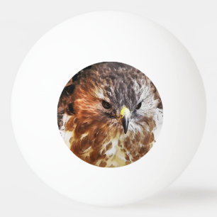 RED TAILED HAWK PINGISBOLL