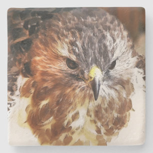 RED TAILED HAWK UNDERLÄGG STEN
