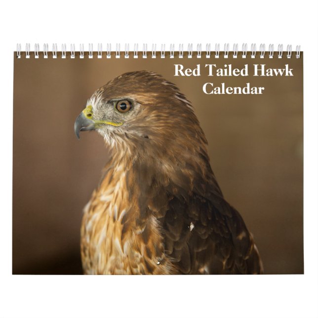 Red Tails Hawk 2025 Kalender (Omslag)