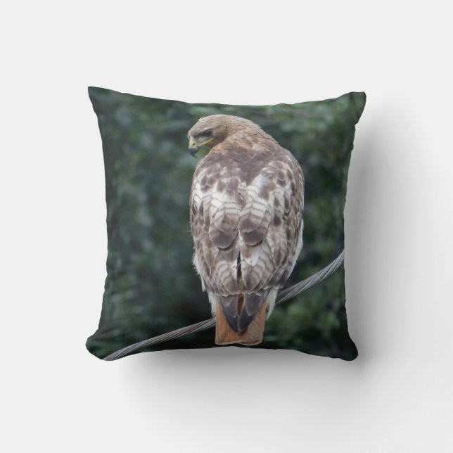 Red Tails Hawk Back Feathers Pillow Kudde (Framsida)
