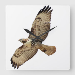 Red Tails Hawk Bird Wildlife Animal Wall Clock Fyrkantig Klocka