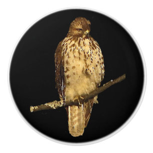 Red Tails Hawk Ceramic Knob Knopp