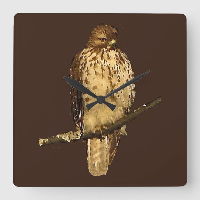 Red-Tails Hawk Clock Fyrkantig Klocka (Framsida)