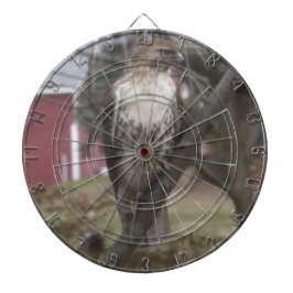 Red-Tails Hawk Dart Board Piltavla