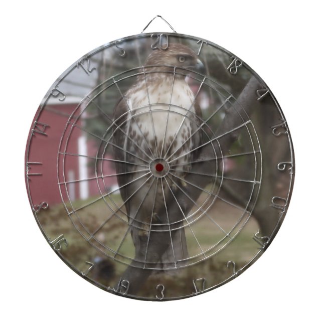 Red-Tails Hawk Dart Board Piltavla (Framsidan)