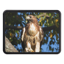 Red Tails Hawk Dragkroksskydd