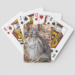 Red Tails Hawk Dubble Casinokort