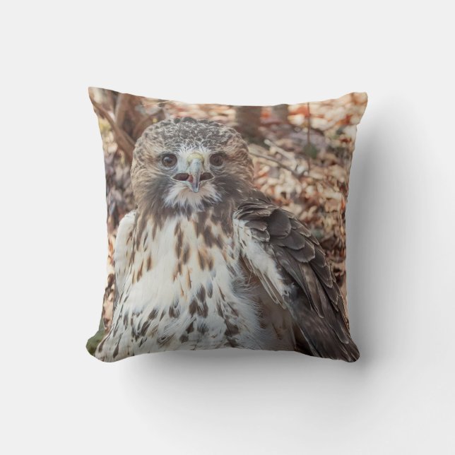 Red Tails Hawk Dubble Kudde (Framsida)