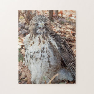 Red Tails Hawk Dubble Pussel