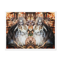 Red Tails Hawk Dubble