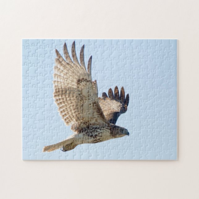 Red Tails Hawk i fligh Pussel (Horisontell)