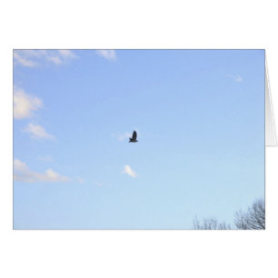 Red Tails Hawk in Flight Card Hälsningskort