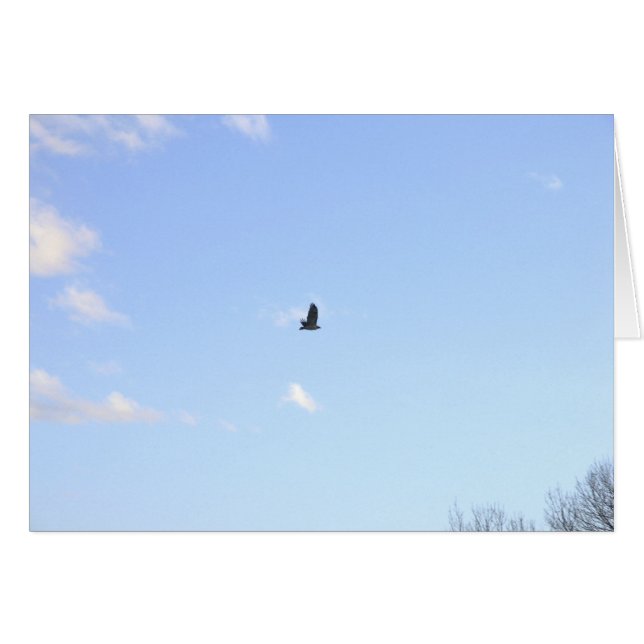 Red Tails Hawk in Flight Card Hälsningskort (Framsidan Horizontal)