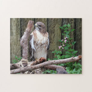Red Tails Hawk - Jigszle Puzzle Pussel