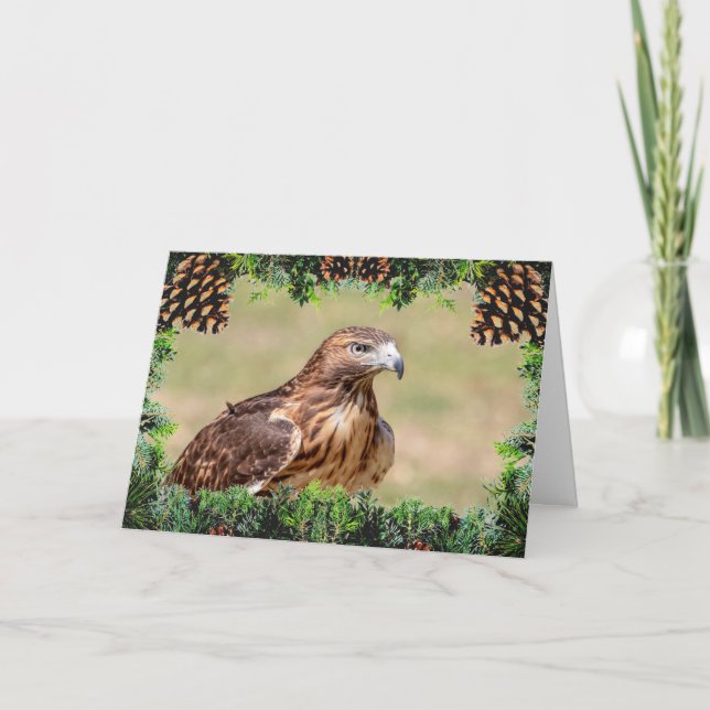 Red-Tails Hawk-julkort Kort (Framsida)