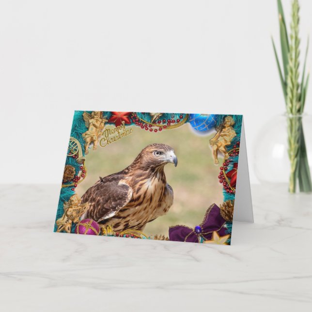 Red-Tails Hawk-julkort Kort (Framsida)