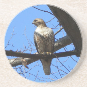 Red Tails Hawk (Juvenile) Underläggs Underlägg