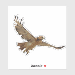 Red Tails Hawk Klistermärken