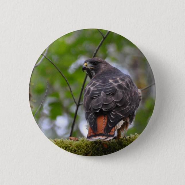 Red-Tails Hawk Knapp (Framsida)