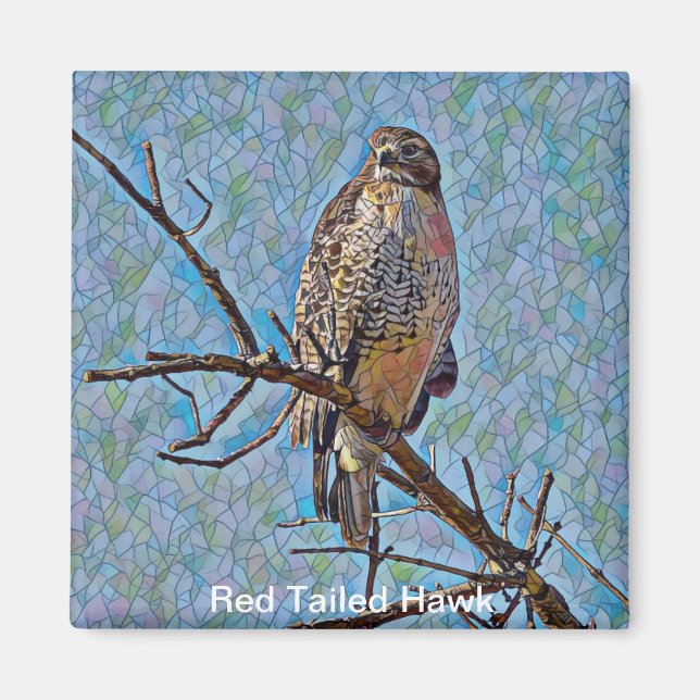 Red Tails Hawk Magnet (Framsidan)