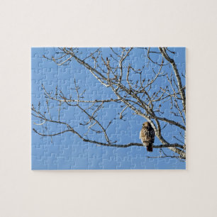Red Tails Hawk Pussel