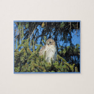 Red Tails Hawk Pussel