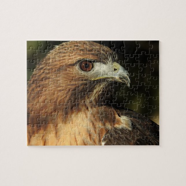 Red Tails Hawk Puzzle Pussel (Horisontell)
